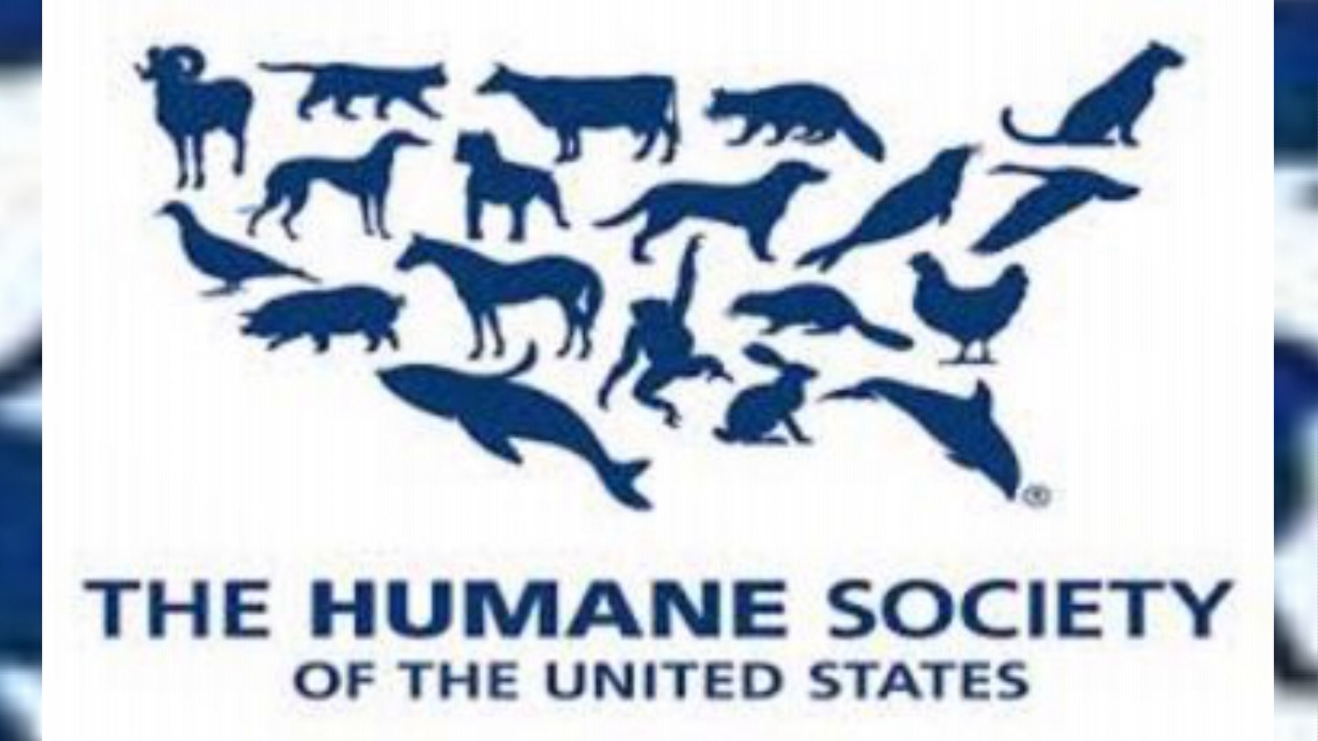 Humane society us carefirst blue cross find doctor